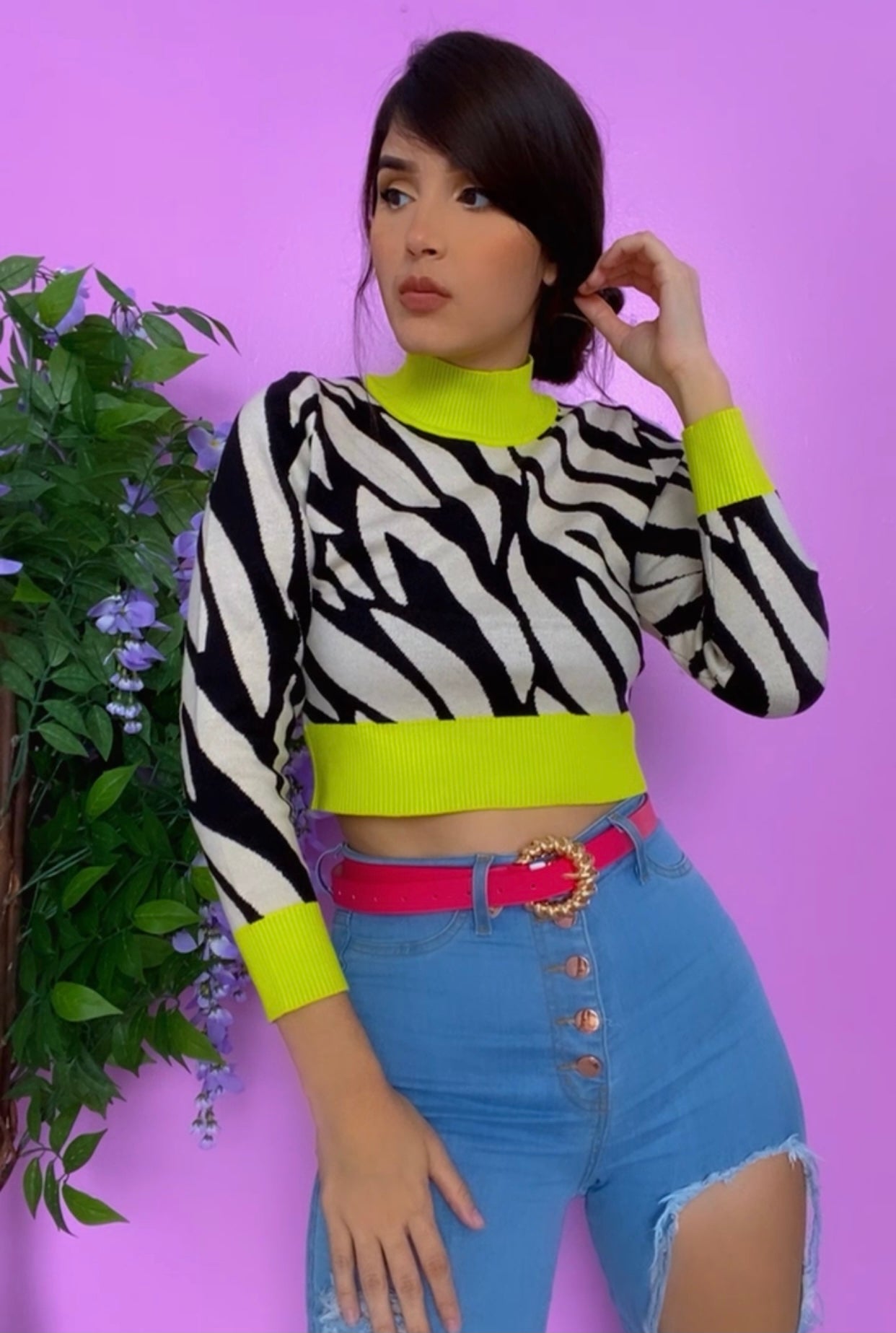 Zebra Lin Lime